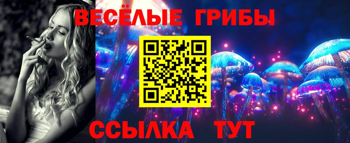 Галлюциногенные грибы Psilocybe Ростов Великий
