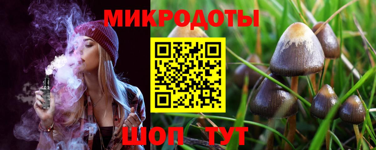 Ростов Великий  Псилоцибиновые грибы Cubensis  Вход с VPN 